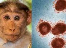 تایید ۲۱۹ مورد آبله میمونی در ۲۱ کشور دنیا