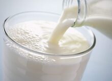 شیرهای توزیع‌شده در مدارس ایلام  استاندارد نبودند